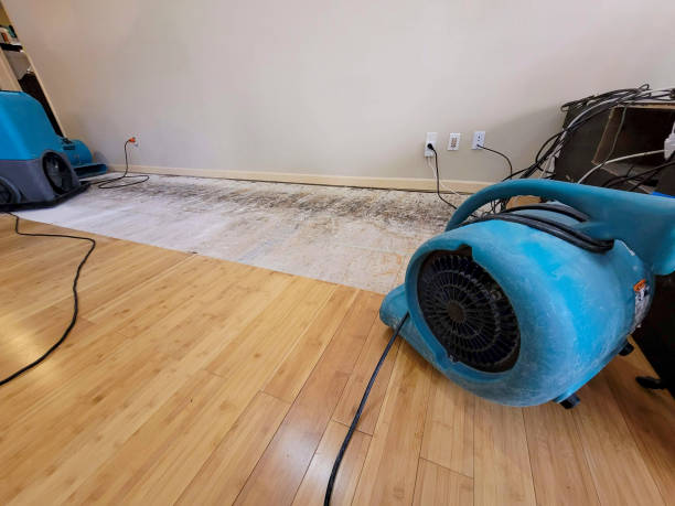 Professional Structural Drying technician working in Margaret, AL